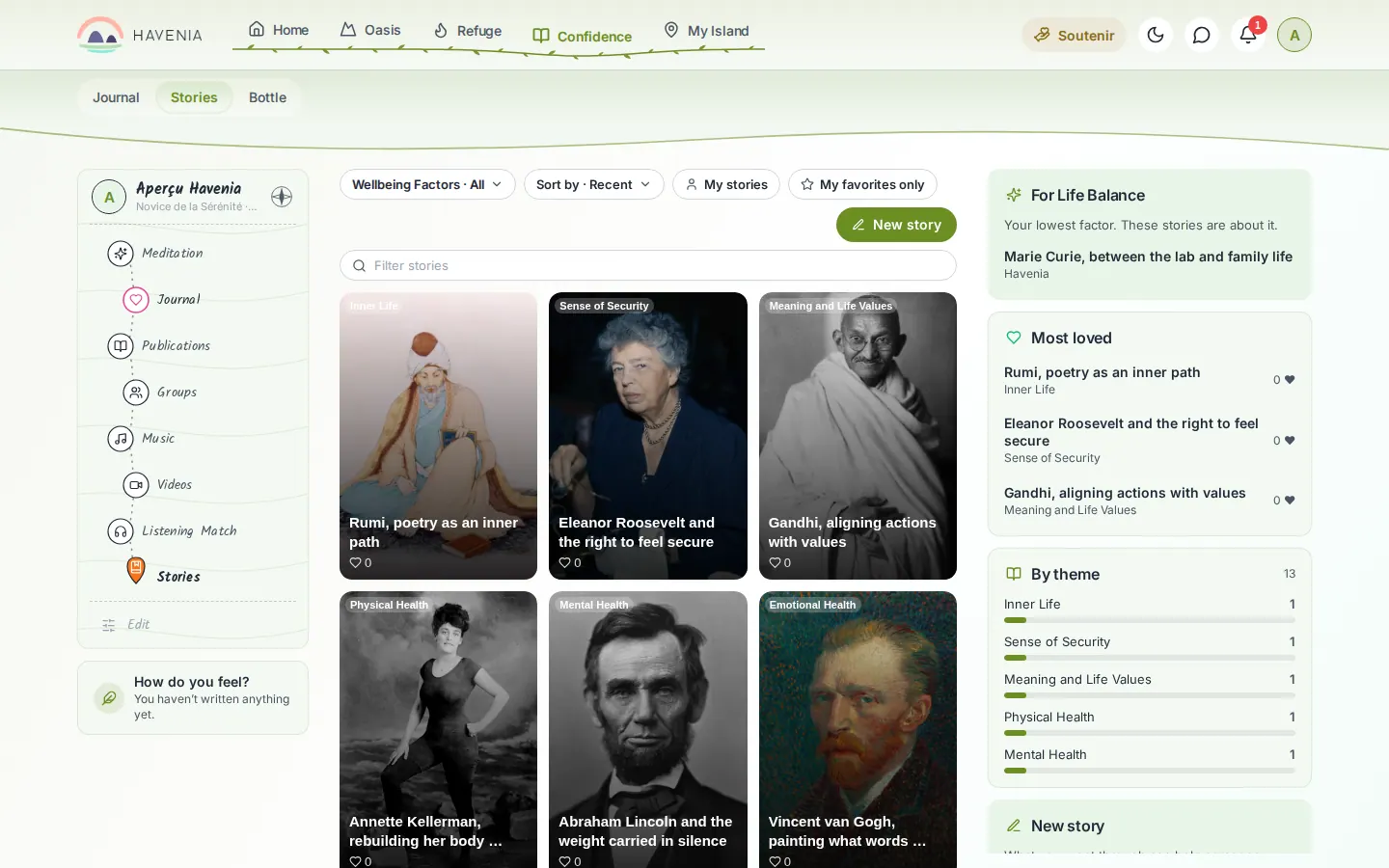 Confidences, Stories tab, on a computer