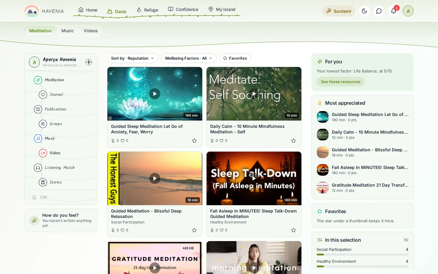 The Oasis, Meditation tab, on a computer
